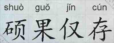 硕果仅存的拼音