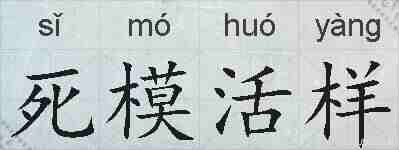 死模活样的拼音