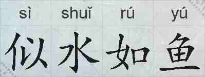 似水如鱼的拼音