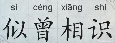 似曾相识的拼音
