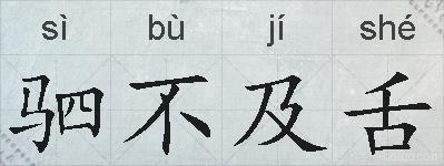 驷不及舌的拼音