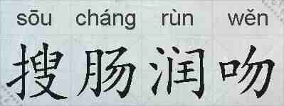 搜肠润吻的拼音