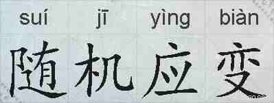 随机应变的拼音