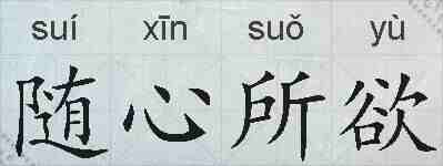 随心所欲的拼音