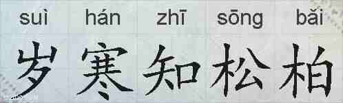 岁寒知松柏的拼音