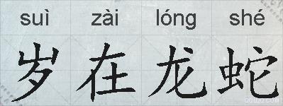 岁在龙蛇的拼音