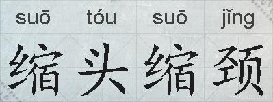 缩头缩颈的拼音