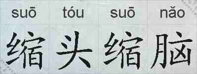 缩头缩脑的拼音