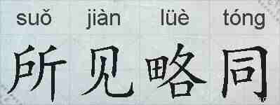 所见略同的拼音