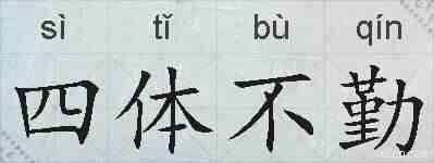 四体不勤的拼音