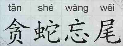 贪蛇忘尾的拼音