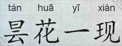 昙花一现的拼音