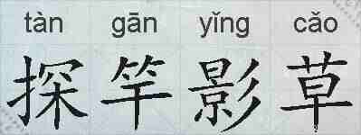 探竿影草的拼音