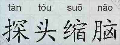 探头缩脑的拼音