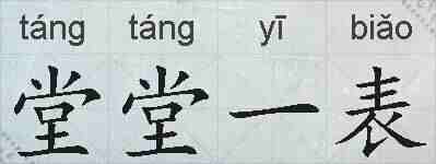 堂堂一表的拼音