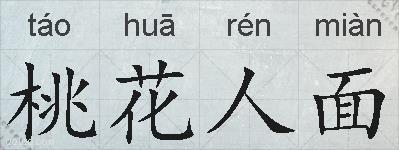 桃花人面的拼音