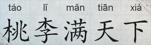 桃李满天下的拼音
