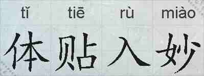 体贴入妙的拼音