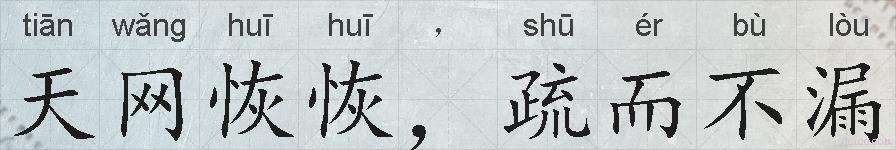 天网恢恢，疏而不漏的拼音