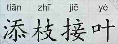 添枝接叶的拼音