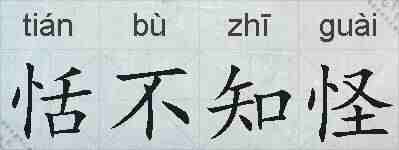 恬不知怪的拼音