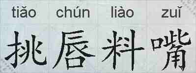 挑唇料嘴的拼音