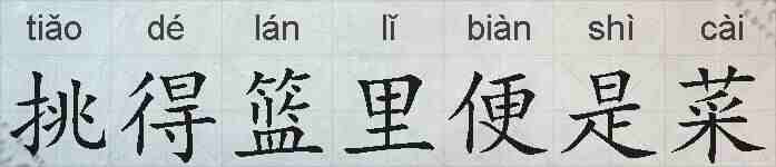 挑得篮里便是菜的拼音
