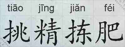 挑精拣肥的拼音
