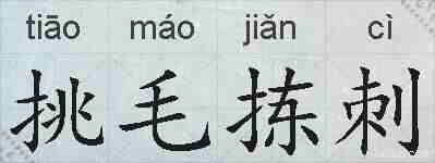 挑毛拣刺的拼音