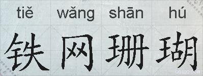 铁网珊瑚的拼音