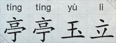 亭亭玉立的拼音