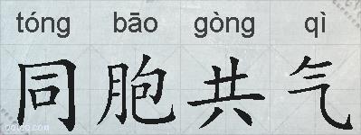 同胞共气的拼音