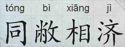 同敝相济的拼音
