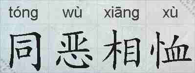 同恶相恤的拼音