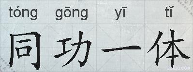 同功一体的拼音