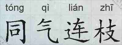 同气连枝的拼音
