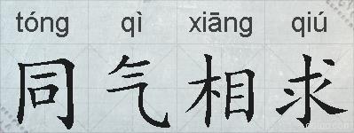 同气相求的拼音