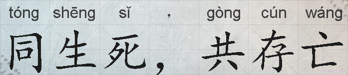 同生死，共存亡的拼音