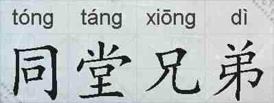 同堂兄弟的拼音
