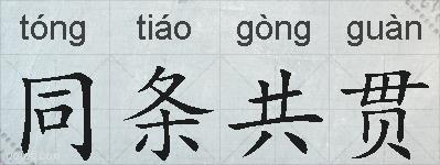 同条共贯的拼音