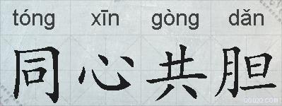 同心共胆的拼音