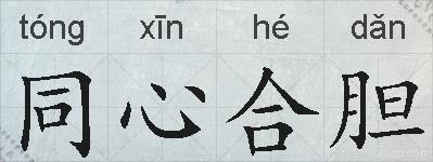 同心合胆的拼音