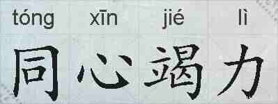 同心竭力的拼音