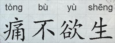 痛不欲生的拼音
