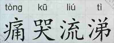 痛哭流涕的拼音