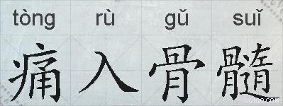 痛入骨髓的拼音