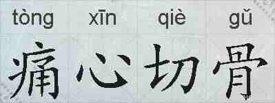 痛心切骨的拼音
