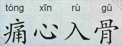 痛心入骨的拼音