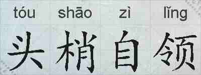 头梢自领的拼音