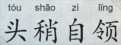 头稍自领的拼音